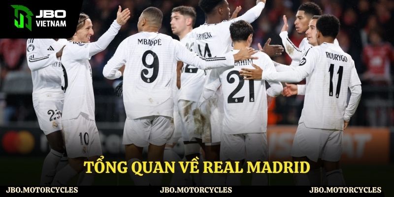 Tổng hợp thông tin về đội bóng Tổng hợp thông tin về đội bóng